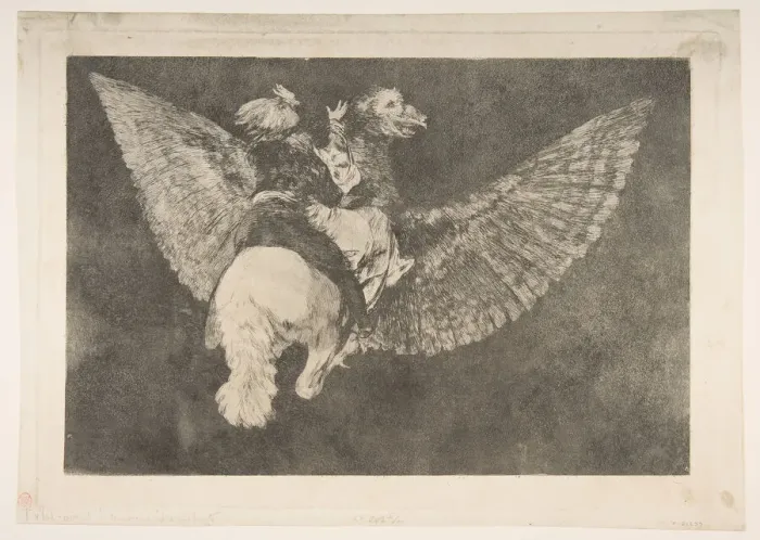 Framed Print : Plate 5 from the Disparates : Flying Folly, ca. 1816-23 (private printing ca. 1854) Framed Print : Plate 5 from the Disparates : Flying Folly, ca. 1816-23 (private printing ca. 1854)