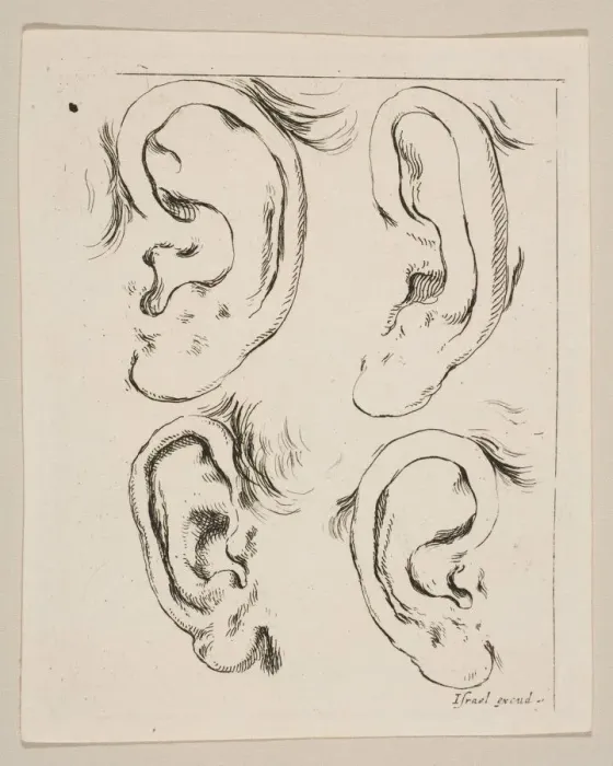 Framed Print : Plate 5: four ears, from The Book for Learning to Draw (Livre pour apprendre à Framed Print : Plate 5: four ears, from The Book for Learning to Draw (Livre pour apprendre à