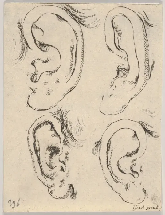 Framed Print : Plate 5: four ears, from The Book for Learning to Draw (Livre pour apprendre à Framed Print : Plate 5: four ears, from The Book for Learning to Draw (Livre pour apprendre à