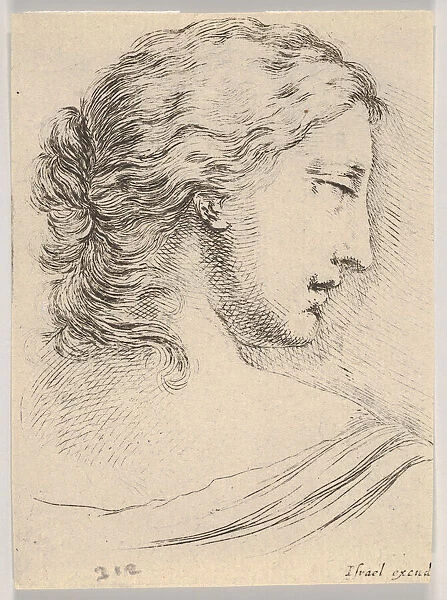 Plate 5: head of a woman, turned in profile to the right
