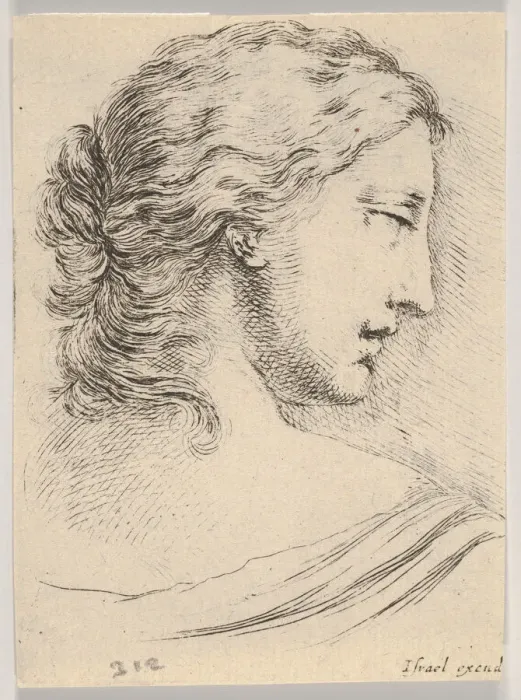 Framed Print : Plate 5: head of a woman, turned in profile to the right Framed Print : Plate 5: head of a woman, turned in profile to the right