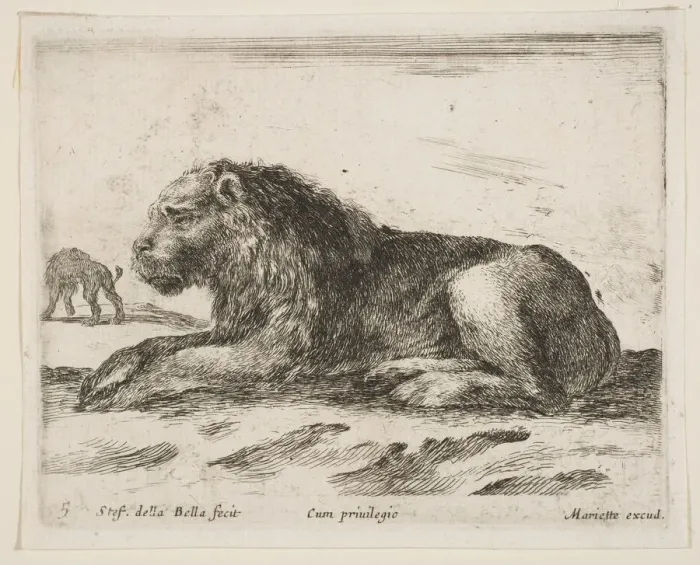 Framed Print : Plate 5: reclining lion, from Various animals (Diversi animali), 1641 Framed Print : Plate 5: reclining lion, from Various animals (Diversi animali), 1641