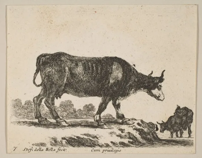Framed Print : Plate 7: cow, from Various animals (Diversi animali), ca. 1641 Framed Print : Plate 7: cow, from Various animals (Diversi animali), ca. 1641
