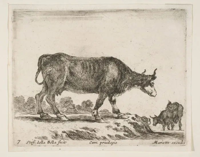 Framed Print : Plate 7: ox, from Various animals (Diversi animali), ca. 1641 Framed Print : Plate 7: ox, from Various animals (Diversi animali), ca. 1641