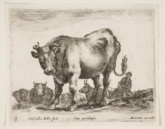 Framed Print : Plate 8: cow, from Various animals (Diversi animali), ca. 1641 Framed Print : Plate 8: cow, from Various animals (Diversi animali), ca. 1641