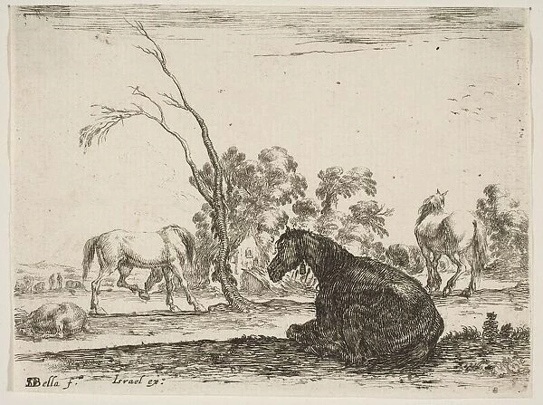 Plate 8: a seated horse to right, seen from behind and turned to the left