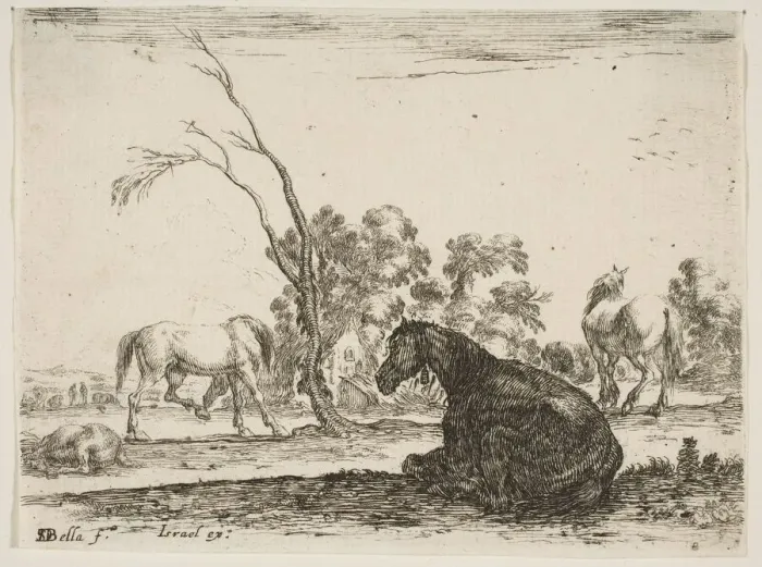 Framed Print : Plate 8: a seated horse to right, seen from behind and turned to the left Framed Print : Plate 8: a seated horse to right, seen from behind and turned to the left