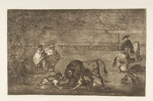 Plate C: The dogs let loose on the bull. ca. 1816. Creator: Francisco Goya
