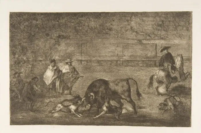 Framed Print : Plate C: The dogs let loose on the bull. ca. 1816. Creator: Francisco Goya Framed Print : Plate C: The dogs let loose on the bull. ca. 1816. Creator: Francisco Goya