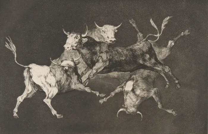 Framed Print : Plate D from the Disparates : Fools- or Little Bulls - fo... ca Framed Print : Plate D from the Disparates : Fools- or Little Bulls - fo... ca
