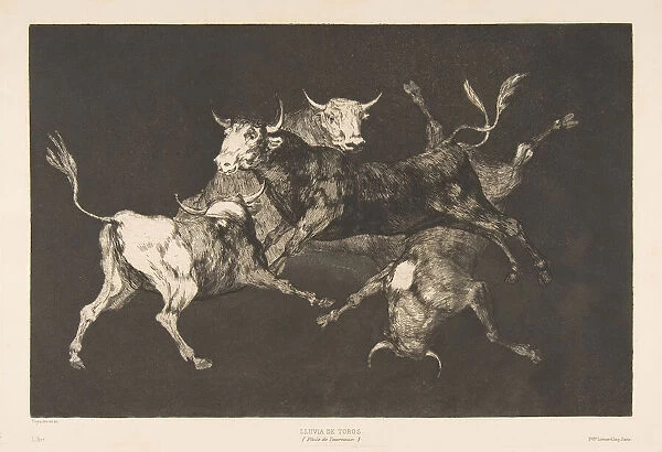 Plate D from the Disparates : Fools- or Little Bulls - folly, ca