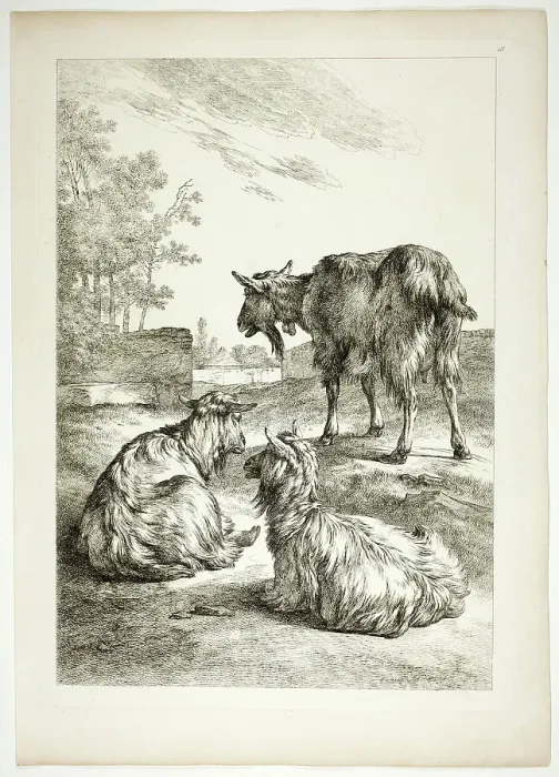 Framed Print : Plate Eighteen of 38 from Oeuvres de J. B. Huet, 1796–99. Creator: Jean Baptiste Marie Huet Framed Print : Plate Eighteen of 38 from Oeuvres de J. B. Huet, 1796–99. Creator: Jean Baptiste Marie Huet