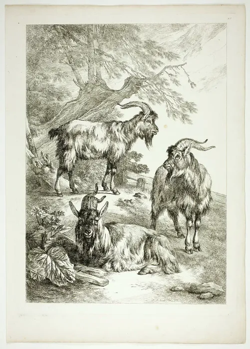 Framed Print : Plate Seventeen of 38 from Oeuvres de J. B. Huet, 1796–99. Creator: Jean Baptiste Marie Huet Framed Print : Plate Seventeen of 38 from Oeuvres de J. B. Huet, 1796–99. Creator: Jean Baptiste Marie Huet