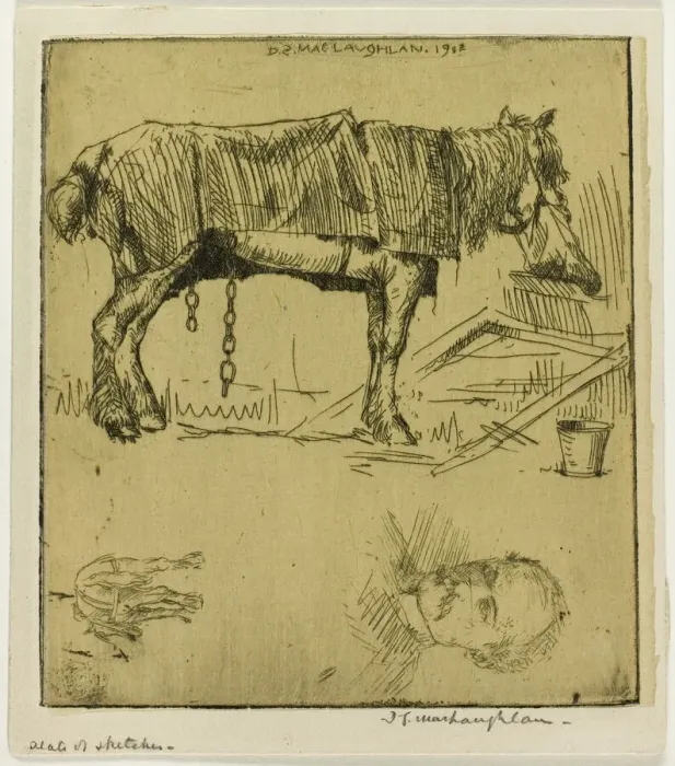 Framed Print : Plate of Sketches, 1902. Creator: Donald Shaw MacLaughlan Framed Print : Plate of Sketches, 1902. Creator: Donald Shaw MacLaughlan