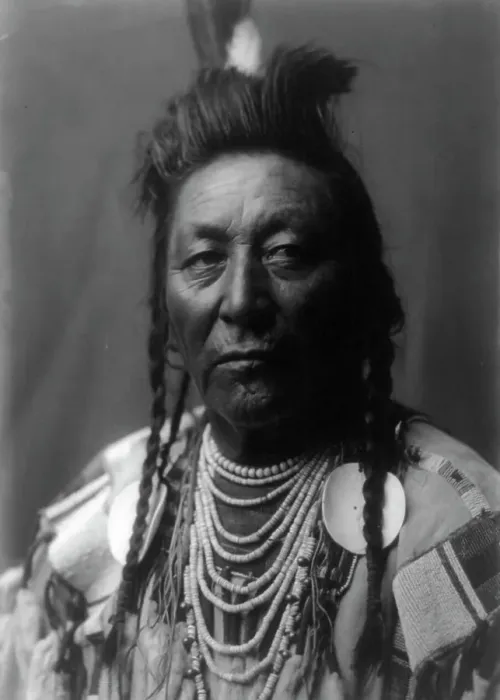 Framed Print : Plenty Coups [A], Apsaroke, c1908. Creator: Edward Sheriff Curtis