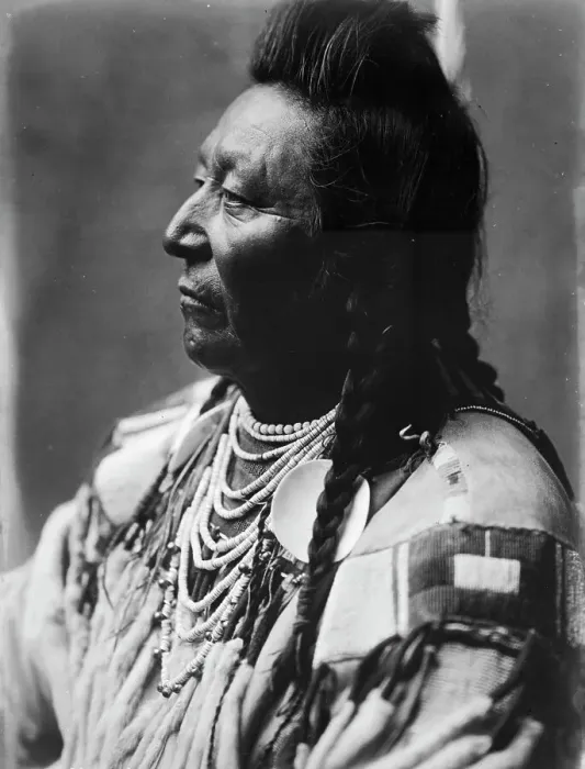 Framed Print : Plenty Coups, Crow Indian, head-and-shoulders portrait, facing left, pompadour, temple... c1908. Creator: Edward Sheriff Curtis Framed Print : Plenty Coups, Crow Indian, head-and-shoulders portrait, facing left, pompadour, temple... c1908. Creator: Edward Sheriff Curtis