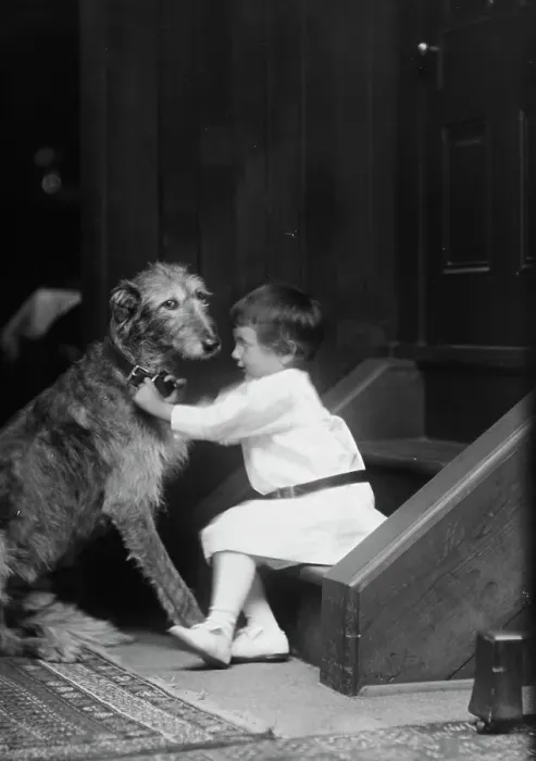 Framed Print : Plottner boy with dog, portrait photograph, 1907 Oct. 16. Creator: Arnold Genthe Framed Print : Plottner boy with dog, portrait photograph, 1907 Oct. 16. Creator: Arnold Genthe