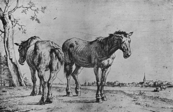 Framed Print : The Two Plough Horses, 1652. Artist: Paulus Potter Framed Print : The Two Plough Horses, 1652. Artist: Paulus Potter