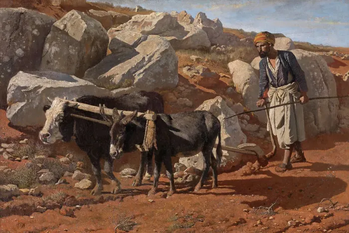 Framed Print : Plough Ox and Mule with Fellah, 1876. Creator: Charles Verlat Framed Print : Plough Ox and Mule with Fellah, 1876. Creator: Charles Verlat