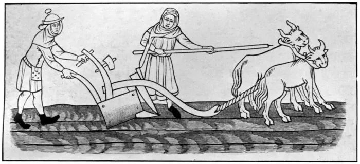 Framed Print : Ploughing, 14th century, (1910) Framed Print : Ploughing, 14th century, (1910)