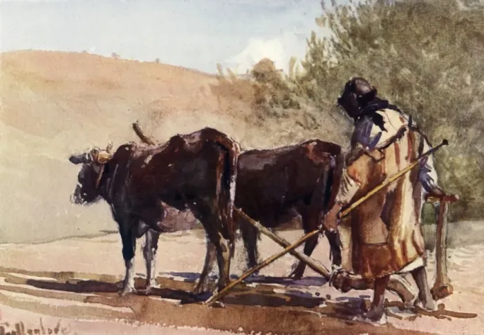 Framed Print : Ploughing on the Mount of Olives, 1902. Creator: John Fulleylove Framed Print : Ploughing on the Mount of Olives, 1902. Creator: John Fulleylove