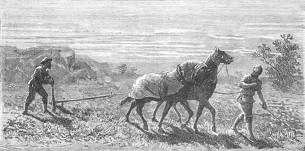 'Ploughing in Turkestan; Notes on Western Turkistan, 1875. Creator: Unknown