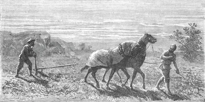 Framed Print : Ploughing in Turkestan; Notes on Western Turkistan, 1875. Creator: Unknown Framed Print : Ploughing in Turkestan; Notes on Western Turkistan, 1875. Creator: Unknown