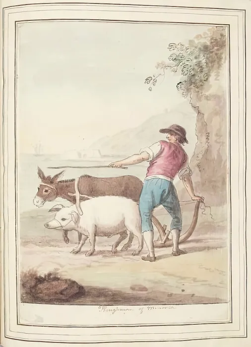 Framed Print : Ploughman of Minorca, leaf from A Collection of Dresses by David Allan Mostly from Nature, 1776 Framed Print : Ploughman of Minorca, leaf from A Collection of Dresses by David Allan Mostly from Nature, 1776