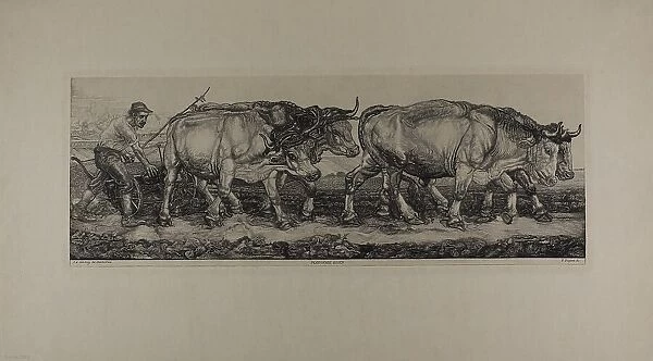 Plowing Oxen, n.d. Creator: Pieter Dupont