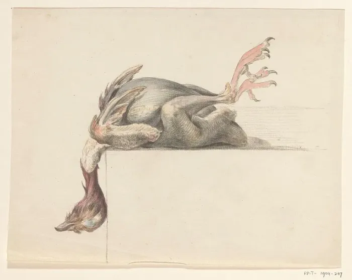 Framed Print : Plucked bird, hanging down with the head, 1775-1833. Creator: Jean Bernard Framed Print : Plucked bird, hanging down with the head, 1775-1833. Creator: Jean Bernard