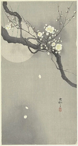 Plum blossom and full moon. Creator: Ohara, Koson (1877-1945)