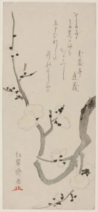 Framed Print : Plum Branch, Japan, late 18th century. Creator: Kitao Shigemasa Framed Print : Plum Branch, Japan, late 18th century. Creator: Kitao Shigemasa