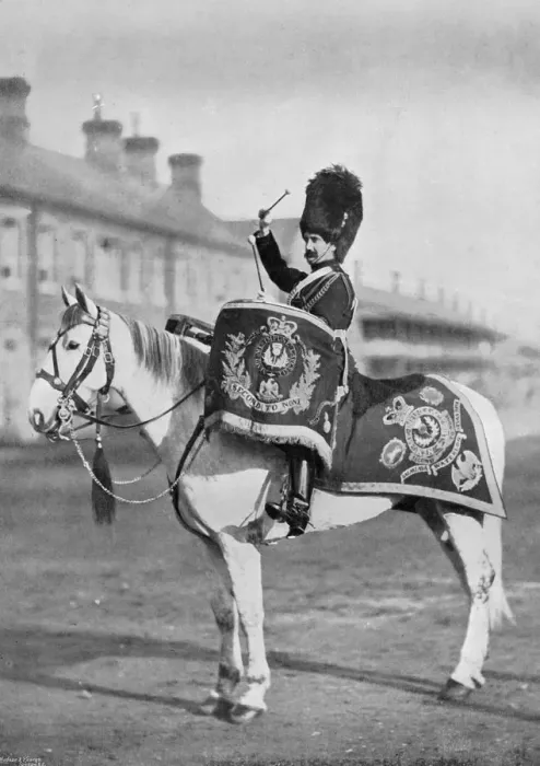 Framed Print : Plum Duff, the drum-horse of the Royal Scots Greys, 1896. Artist: Gregory & Co Framed Print : Plum Duff, the drum-horse of the Royal Scots Greys, 1896. Artist: Gregory & Co