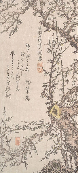 Plum Tree in Blossom, late 18th-early 19th century. Creator: Kitao Shigemasa