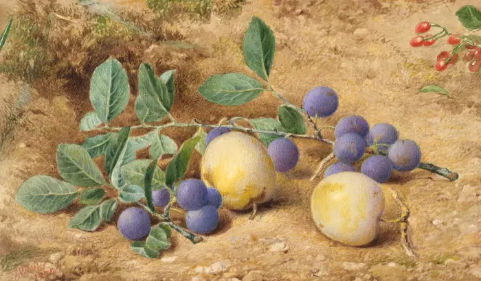 Framed Print : Plums, 1870. Creator: John William Hill Framed Print : Plums, 1870. Creator: John William Hill