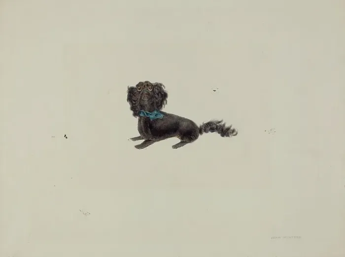 Framed Print : Plush Toy Dog, c. 1938. Creator: John Winters Framed Print : Plush Toy Dog, c. 1938. Creator: John Winters