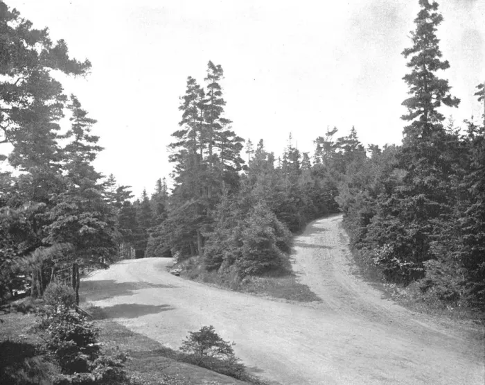 Framed Print : Point Pleasant Park, Halifax, Nova Scotia, Canada, c1900. Creator: Unknown Framed Print : Point Pleasant Park, Halifax, Nova Scotia, Canada, c1900. Creator: Unknown