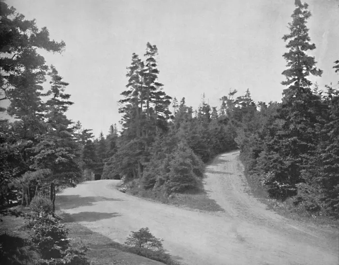 Framed Print : Point Pleasant Park, Halifax, Nova Scotia, c1897. Creator: Unknown Framed Print : Point Pleasant Park, Halifax, Nova Scotia, c1897. Creator: Unknown