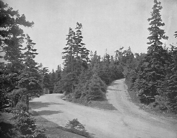 Point Pleasant Park, Halifax, Nova Scotia, c1897. Creator: Unknown