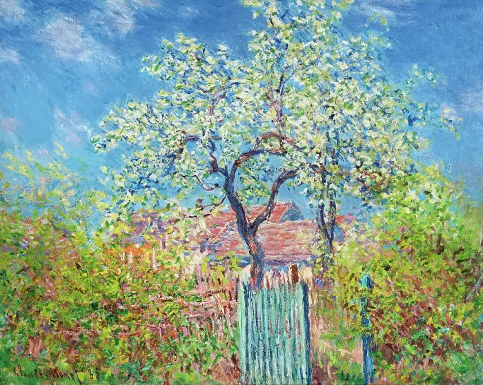 Framed Print : Poirier en Fleurs (Pear Tree in Blossom), 1885. Creator: Monet, Claude (1840-1926) Framed Print : Poirier en Fleurs (Pear Tree in Blossom), 1885. Creator: Monet, Claude (1840-1926)