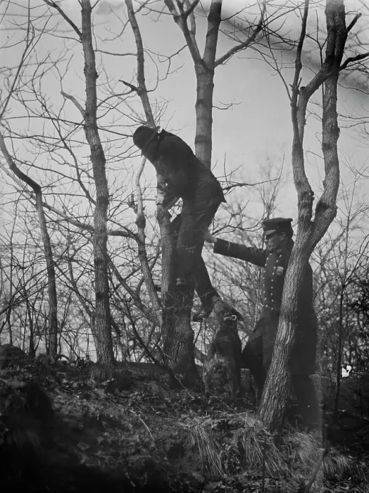 Framed Print : Policeman, police dog treeing tramp, New York City, 1912. Creator: Bain News Service Framed Print : Policeman, police dog treeing tramp, New York City, 1912. Creator: Bain News Service