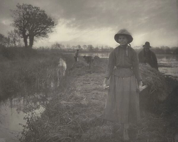 Poling the Marsh Hay, 1886. Creators: Dr Peter Henry Emerson, Thomas Frederick Goodall
