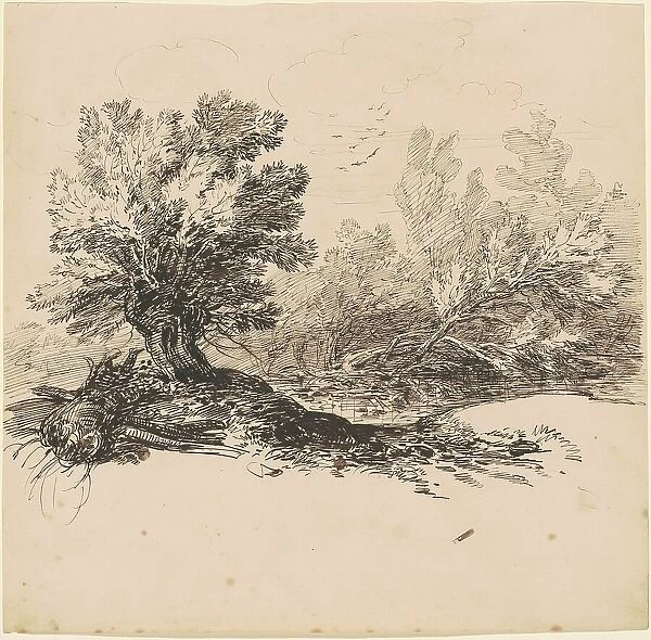 A Pollard Willow by a Stream, c. 1840. Creator: Hippolyte Lalaisse