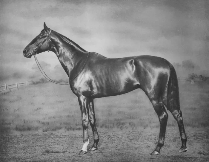 Framed Print : Polymelus, 1902-1924, (1911)