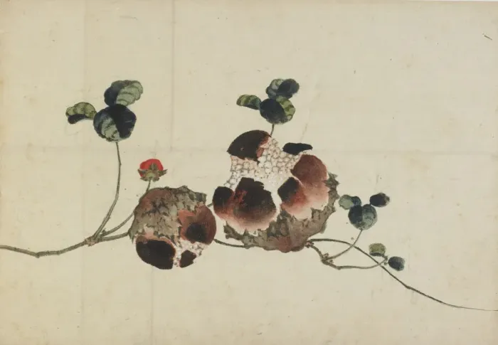 Framed Print : Pomegranates, late 18th-early 19th century. Creator: Hokusai Framed Print : Pomegranates, late 18th-early 19th century. Creator: Hokusai