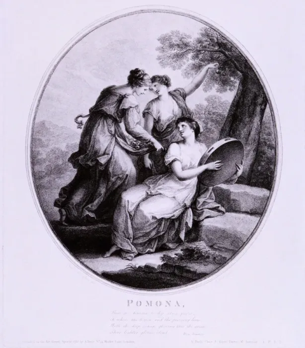 Framed Print : Pomona, c1782. Artist: Francesco Bartolozzi Framed Print : Pomona, c1782. Artist: Francesco Bartolozzi