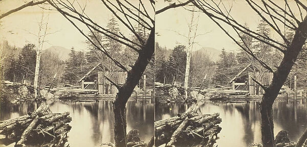 The Mill Pond near Laurel House, 1869 / 1901. Creator: Anthony & Company