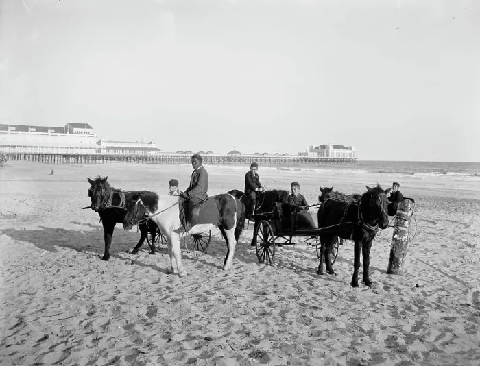 Framed Print : Ponies on the beach, Atlantic City, N.J. between 1900 and 1906. Creator: Unknown Framed Print : Ponies on the beach, Atlantic City, N.J. between 1900 and 1906. Creator: Unknown