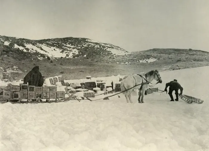 Framed Print : The Pont Quan About To Draw A Sledge Load of Stores, c1908, (1909) Framed Print : The Pont Quan About To Draw A Sledge Load of Stores, c1908, (1909)
