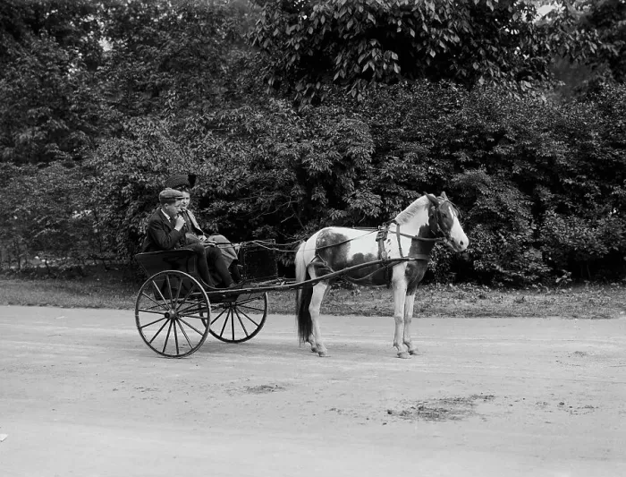 Framed Print : Pony cart, Belle Isle Park, Detroit, Mich. between 1900 and 1908. Creator: Unknown Framed Print : Pony cart, Belle Isle Park, Detroit, Mich. between 1900 and 1908. Creator: Unknown